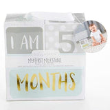 My First Milestone Baby Age Blocks