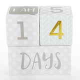 My First Milestone Baby Age Blocks